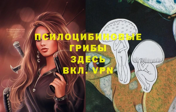 мдпв Володарск