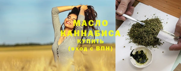 амф Вяземский