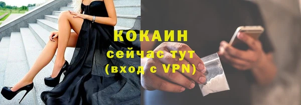 амф Вяземский