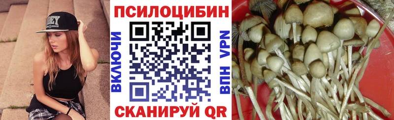 Псилоцибиновые грибы ЛСД  Заречный 