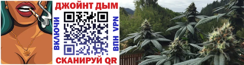Марихуана гибрид  Заречный 